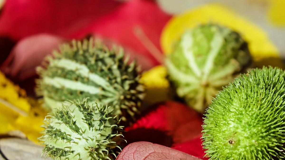 OTT 플랫폼 콘텐츠 추천 알고리즘 비교와 미디어 소비 변화 분석