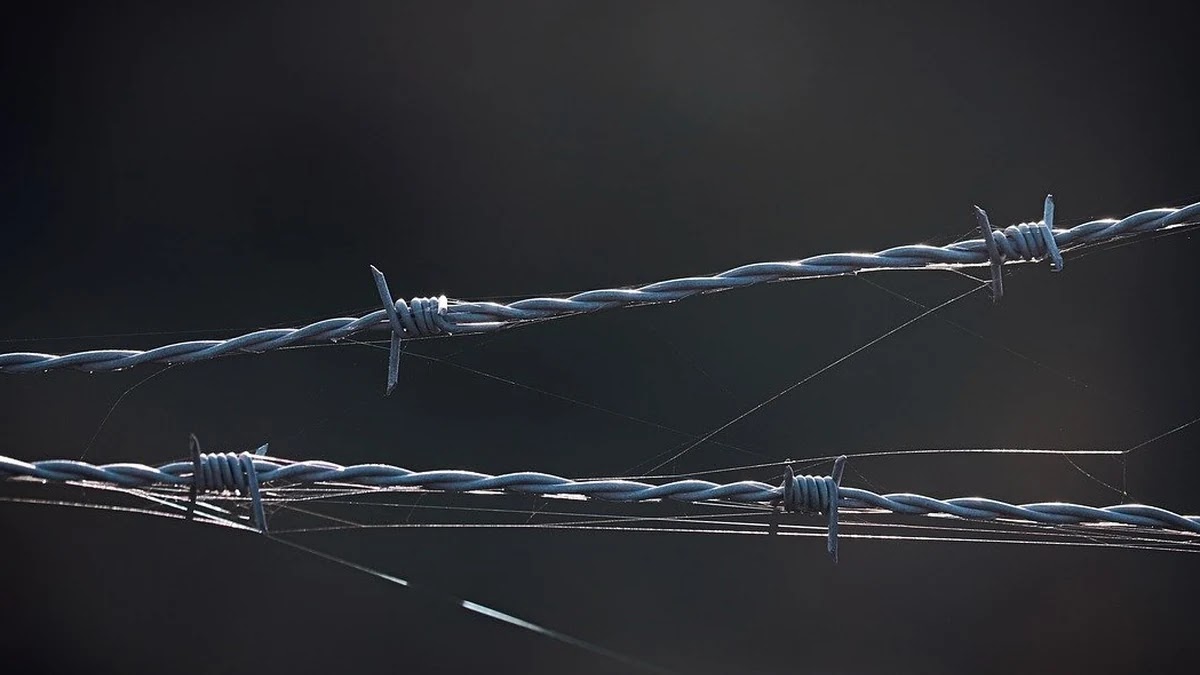 스탠퍼드 교도소 실험이 보여준 권력과 정체성 변화 과정