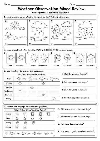 Weather Observation Mixed Review