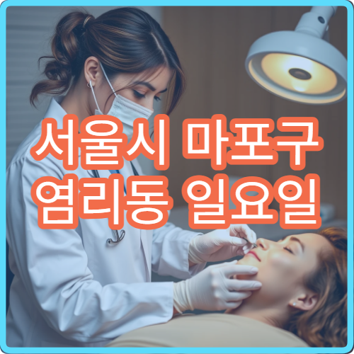 서울시 마포구 염리동 일요일 정신건강의학과 불면 스트레스 상담