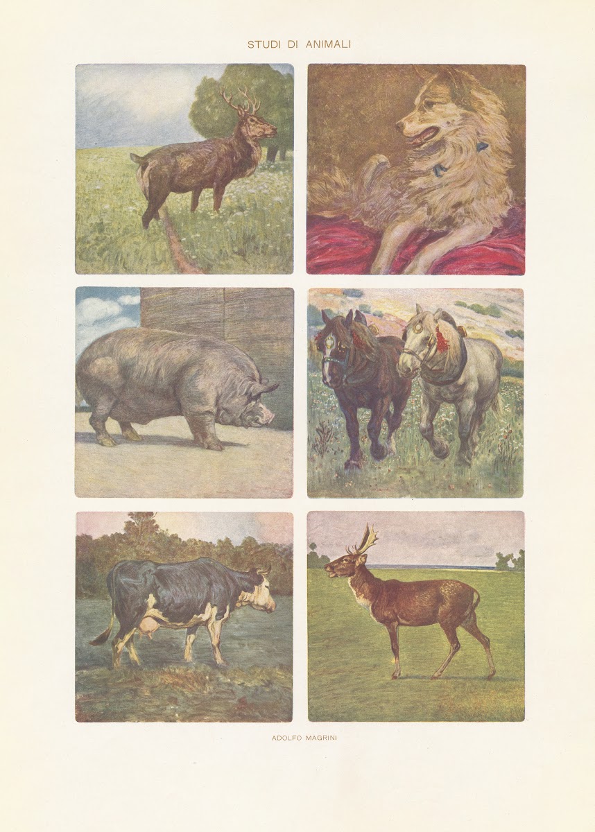 Modern decorative art Vol III Pl06 1910