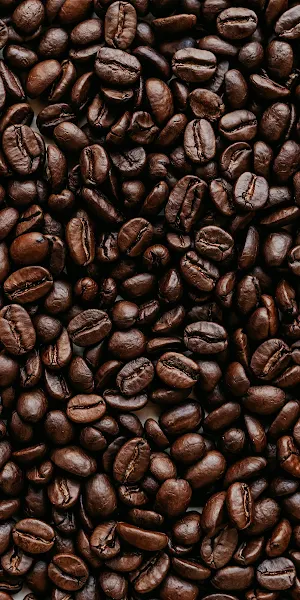 Cocoa Bean, Jamaican Blue Mountain Coffee, Coffee, Brown, Single-Origin Coffee 2K iPhone Wallpaper Background