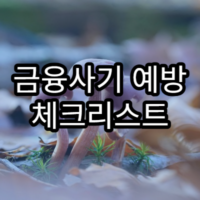 금융사기 예방 체크리스트