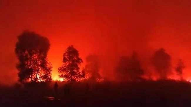 Petugas gabungan berupaya memadamkan kebakaran hutan di kawasan Taman Nasional Way Kambas, Lampung.