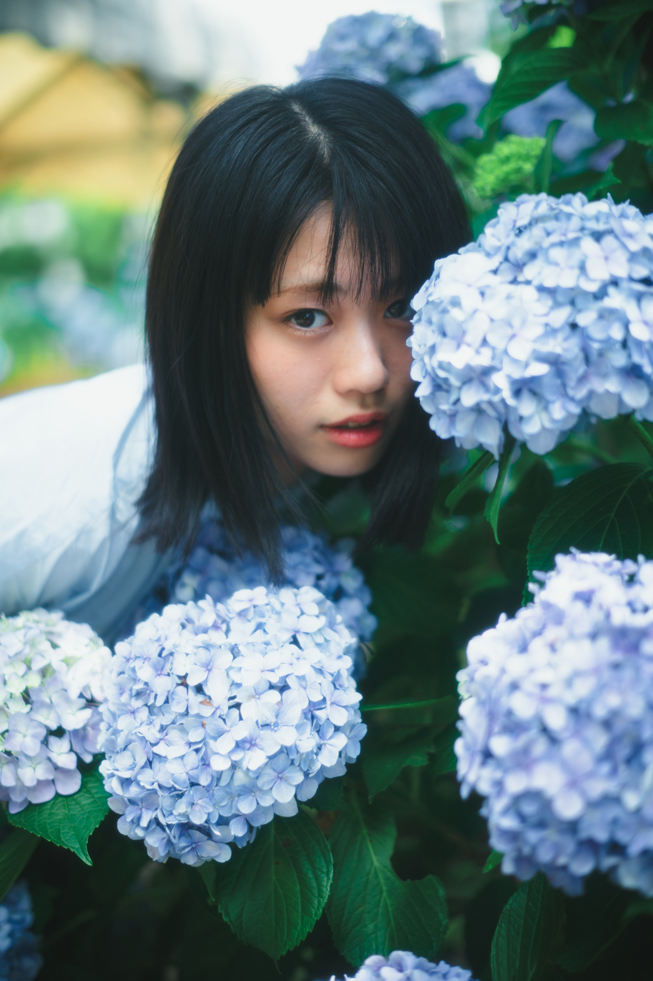 Portrait — Makino Shota