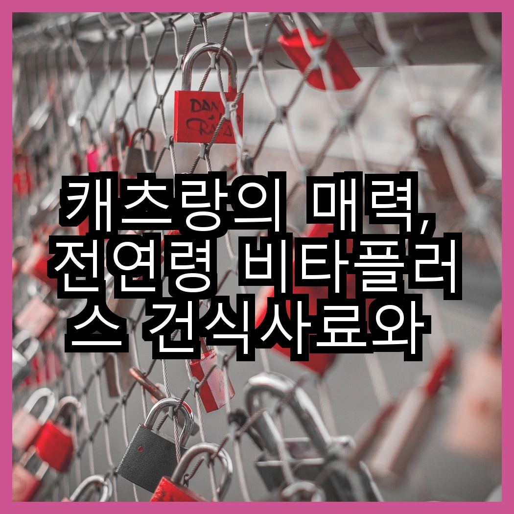 캐츠랑의 매력, 전연령 비타플러스 건식사료와 NEW 건식사료는 어떻게 다를까? 썸네일