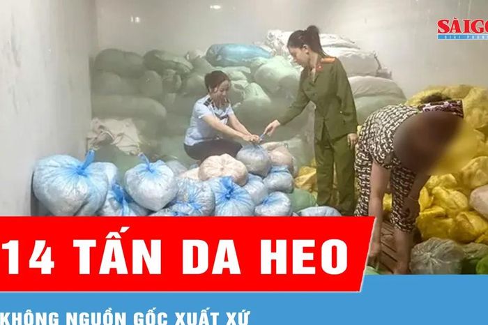 Thanh Hóa: Phát hiện hơn 14 tấn da heo không nguồn gốc xuất xứ - Báo Sài Gòn Giải Phóng