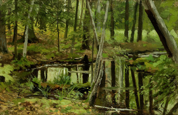 Forest Wilderness 1895