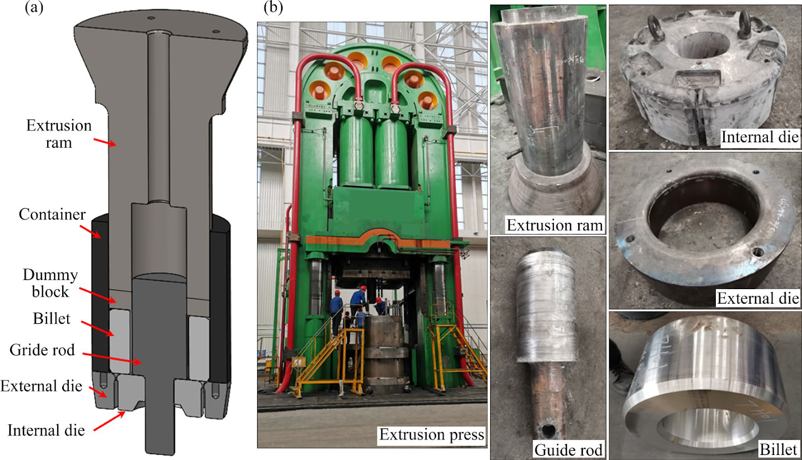 Achieving uniform microstructure and properties in large-sized seamless thin-walled cylindrical components with high-ribs using novel forward needle penetration extrusion process