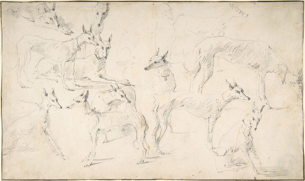 Studies of Hounds 17th century