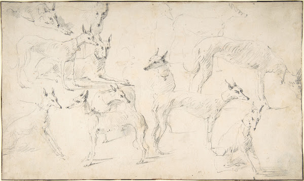 Studies of Hounds 17th century