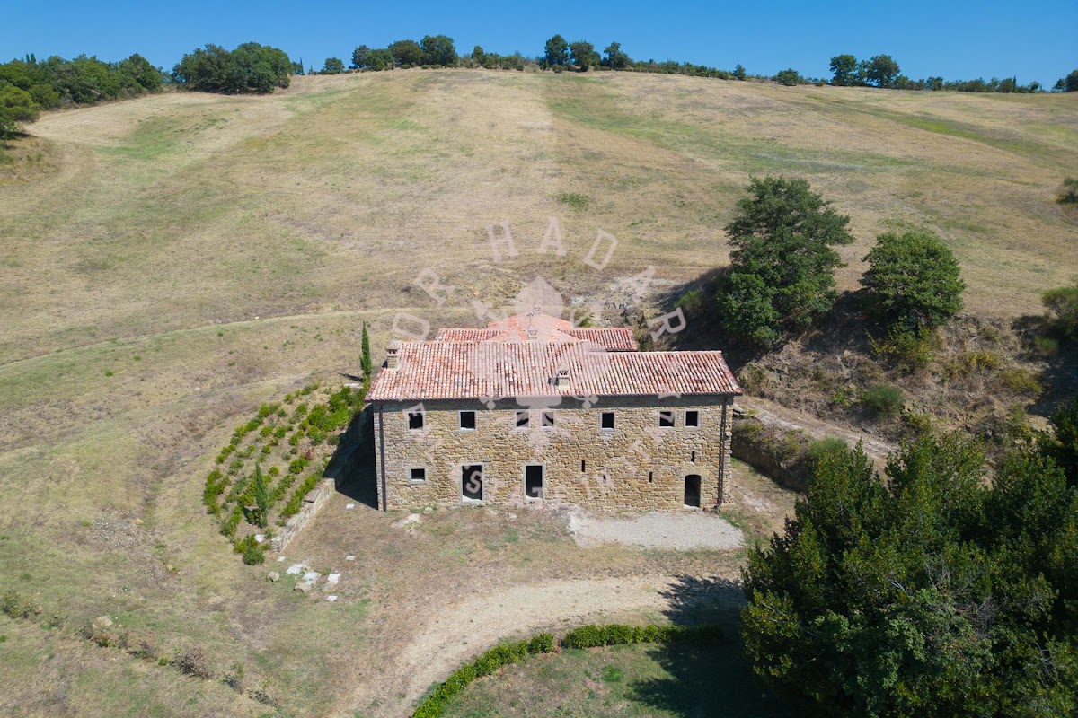 פודרה לה טולפה (Podere la Tolfa) — 13