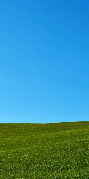 Landscape, Field, Hills 5K Wallpaper Background