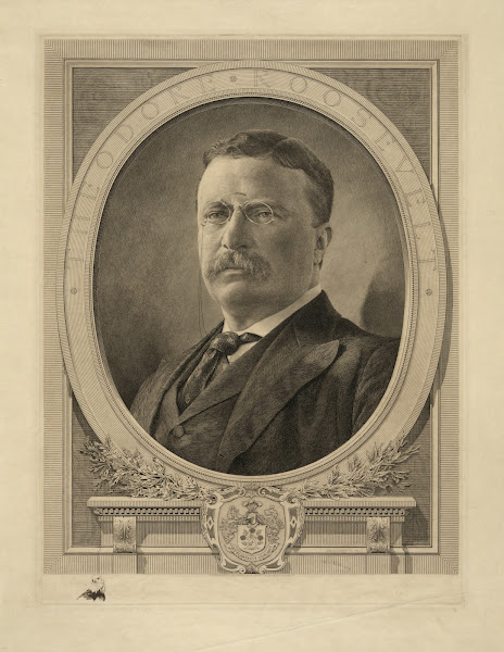 Theodore Roosevelt 1905