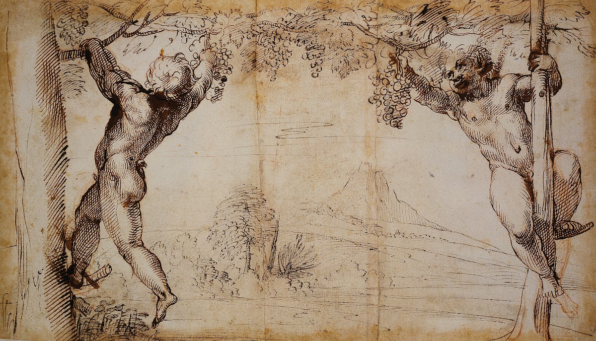 Two Young Satyrs picking Grapes ca 1597  1600