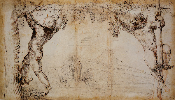 Two Young Satyrs picking Grapes ca 1597  1600