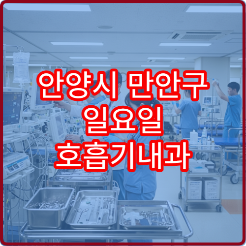 안양시 만안구 일요일 호흡기내과 진료 병원 기침·호흡곤란 상담 가능