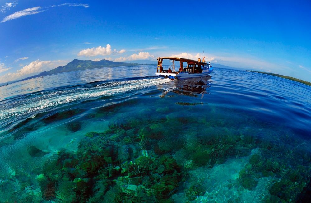 Bunaken reef tourism. Indonesia ecotourism destination, Indonesia nature travel destination, Gunung Leuser National Park, Bali, Kepulauan Seribu, Bunaken National Park, Gili island, planting mangrove and coral, reef destination. CarbonEthics Indonesia
