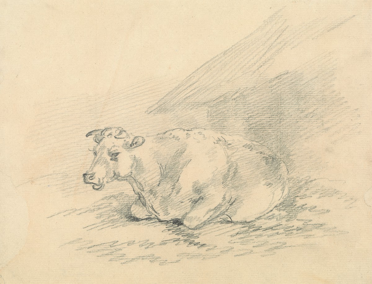 Cow Lying Next to a Barn