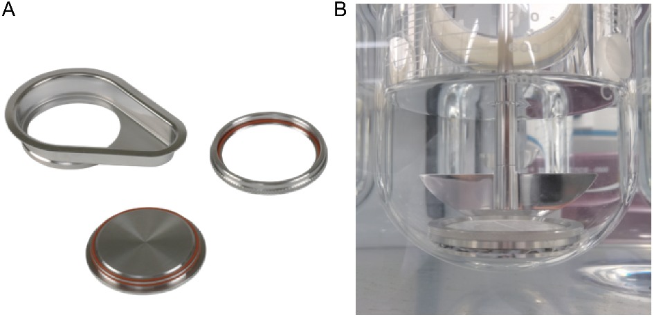 A Study on the Dissolution Behavior of Vanadium Slag in the Process of Vanadium Extraction Using the Calcium Roasting–Acid Leaching Method
