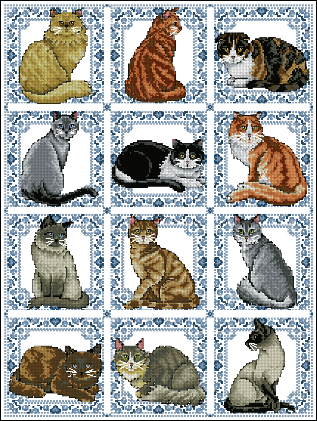 CMP DW2464 Cats By The Dozen