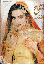 Shuaa Digest November 2004 Download PDF