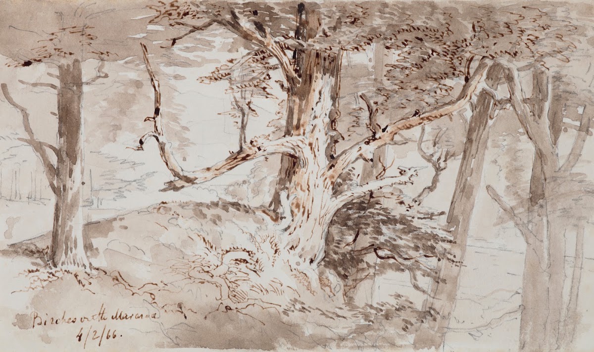 Birches on the Mararoa 1866