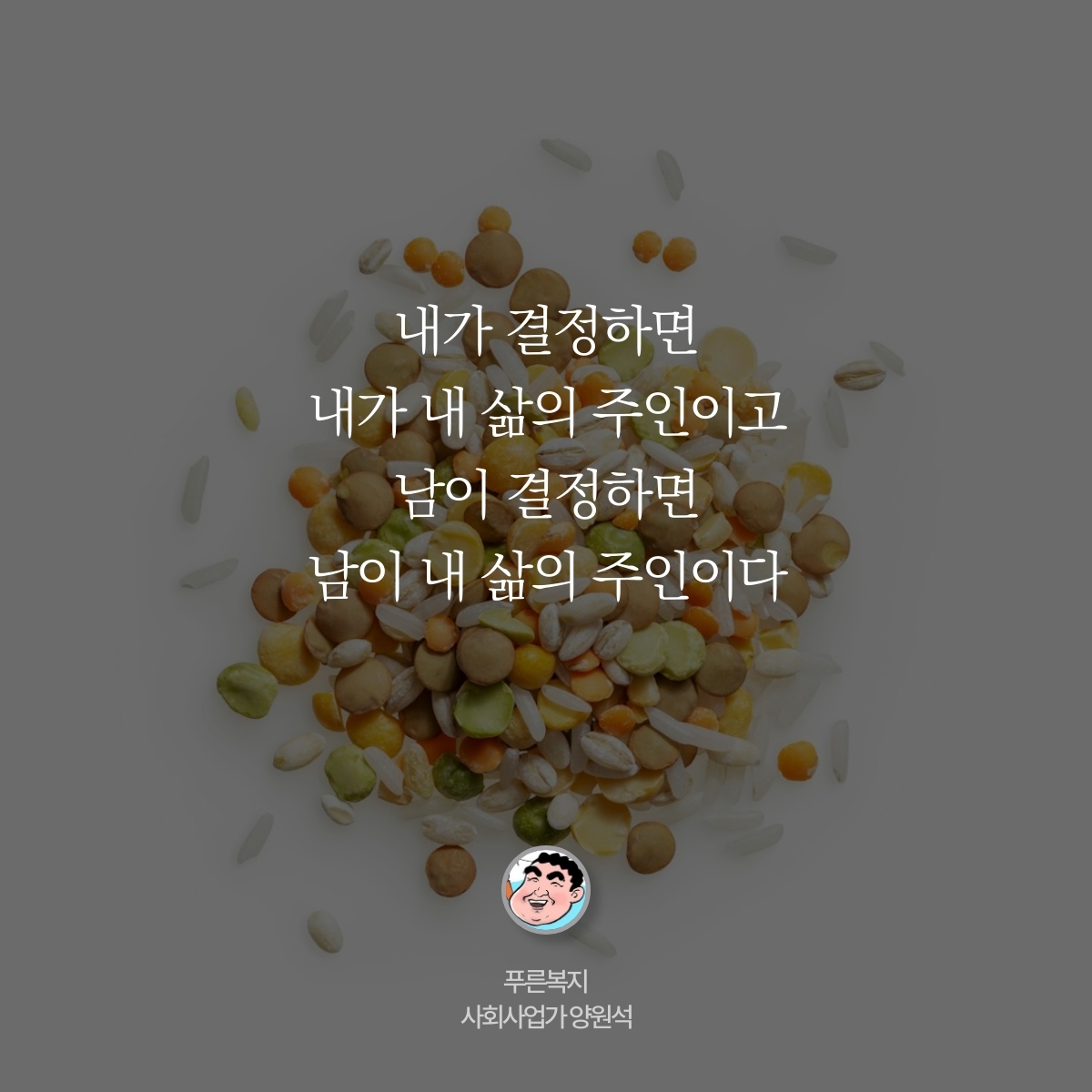 카드뉴스