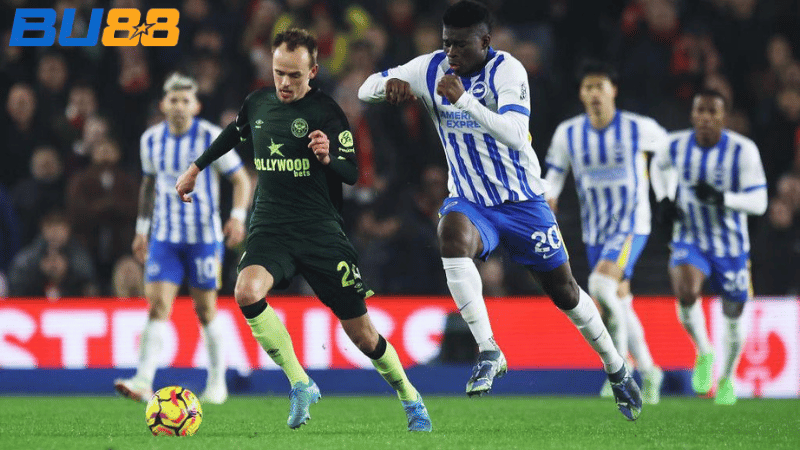 Phong độ gần đây giữa  Brighton- Brentford 