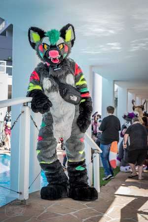 furdu2025-09898.jpg