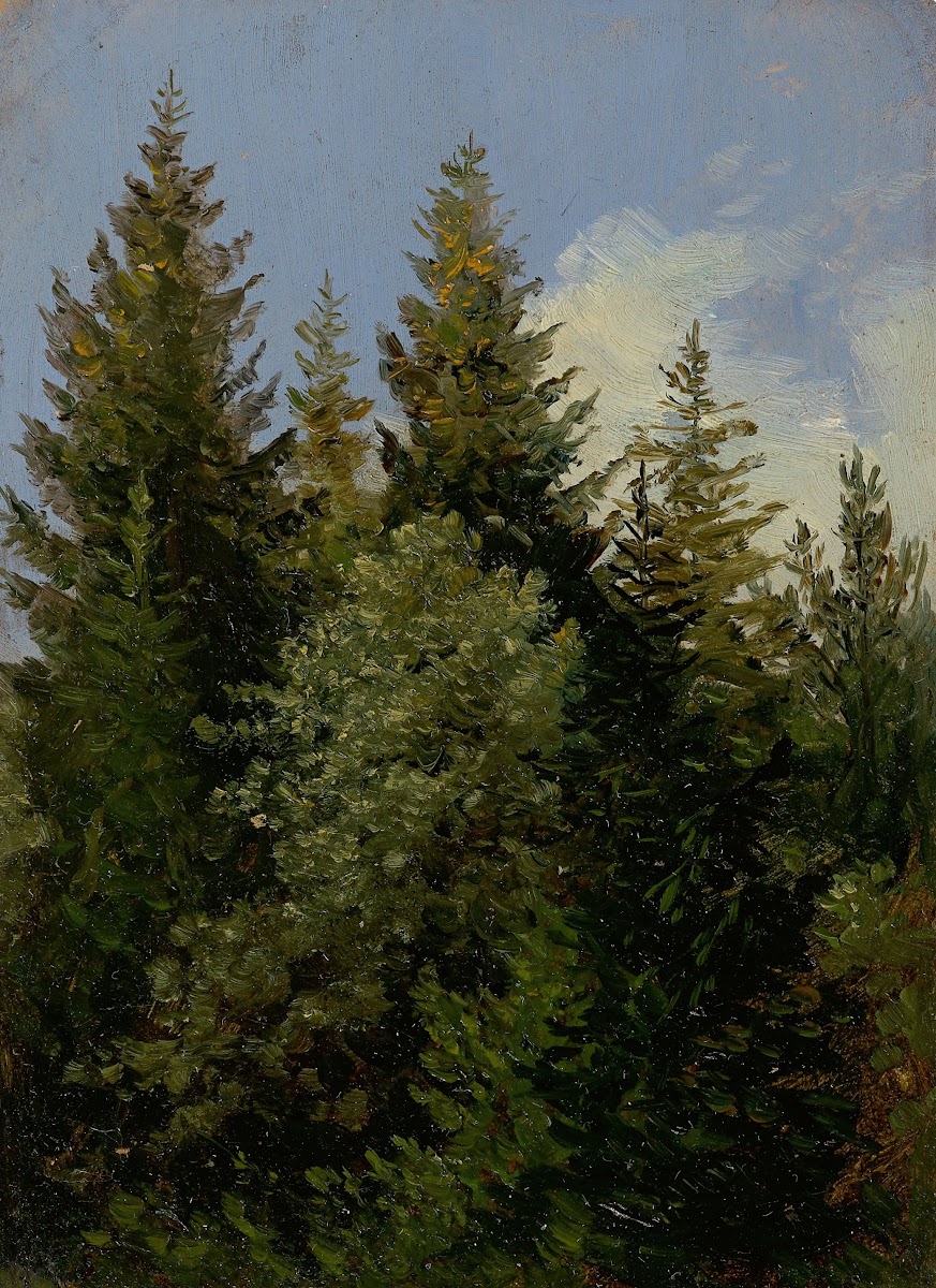 Tannen Circa 1840