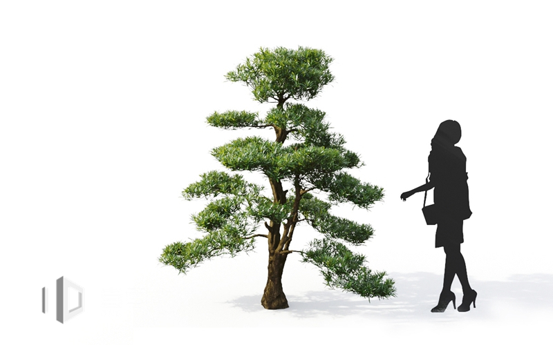 Maxtree - Plant Models Vol.9