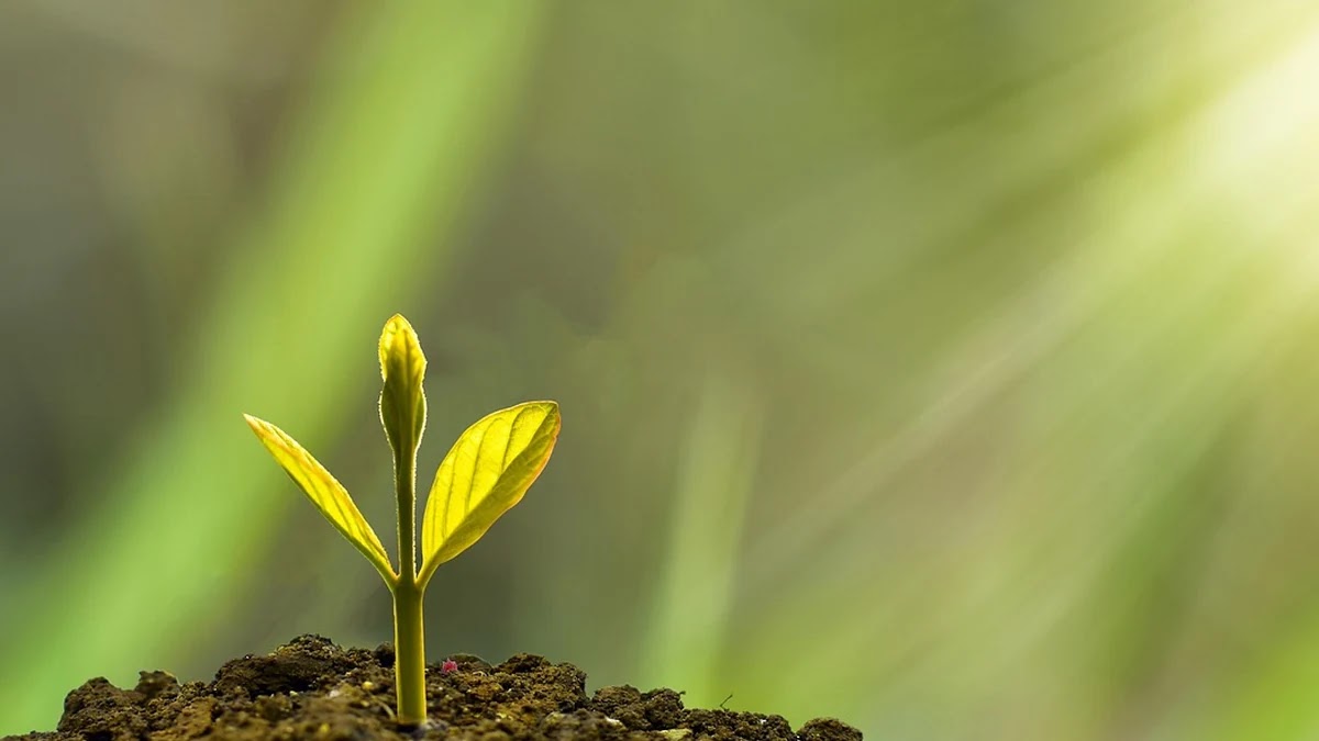 경제 불황과 경기 침체 차이 쉽게 이해하기