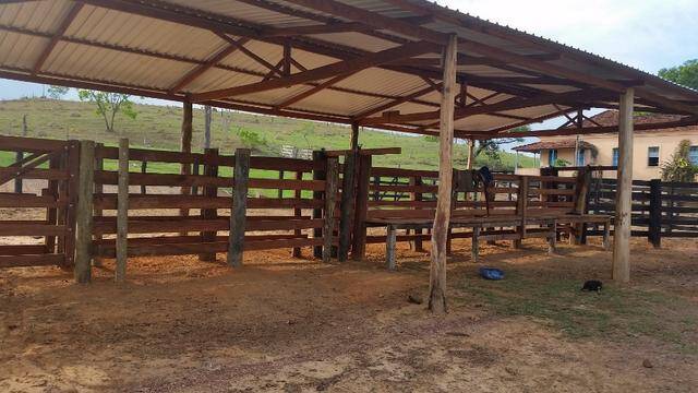 Fazenda em Ipameri-GO 9