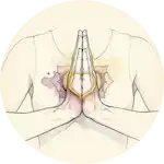 Sattva Alignment Method icon