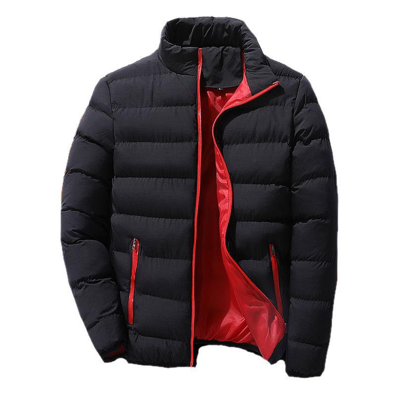 Men's padded jacket, stand-up collar, insulated, for sports