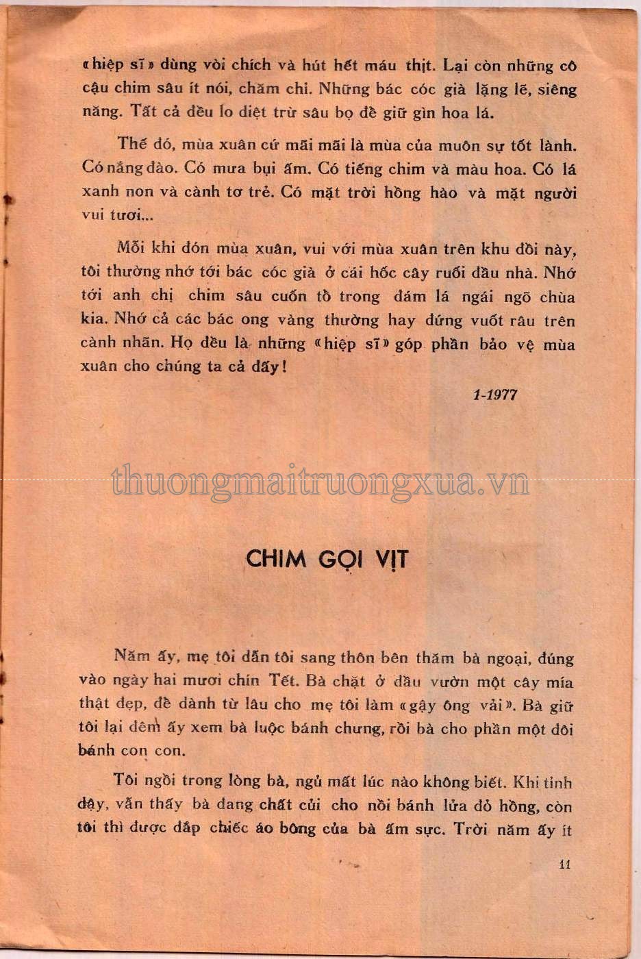 Tiếng ve ran (1979) - Trang 11