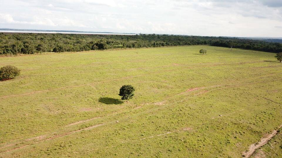 Fazenda em Itumbiara  - GO 5