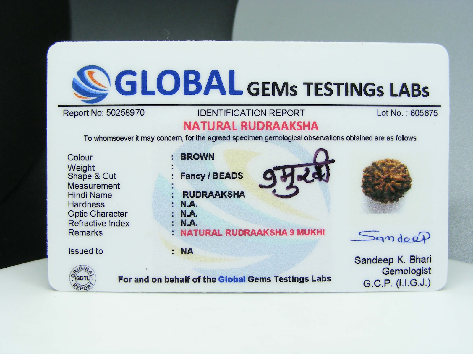 Natural 9 Mukhi Rudraksha