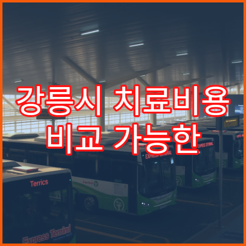 강릉시 치료비용 비교 가능한 전문병원 3곳 견적 실사용 사례