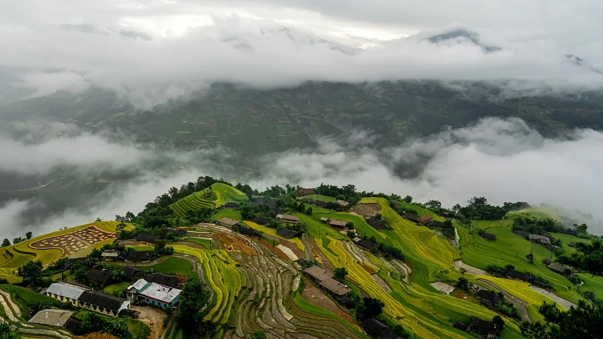 수능 국어 비문학 문제 접근법과 독해력 강화 단계별 방법