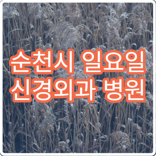 순천시 일요일 신경외과 병원 – 목·허리 디스크, 두통 환자 진료 안내