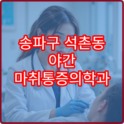 송파구 석촌동 야간 마취통증의학과 진료 병원 통증 관리 정보