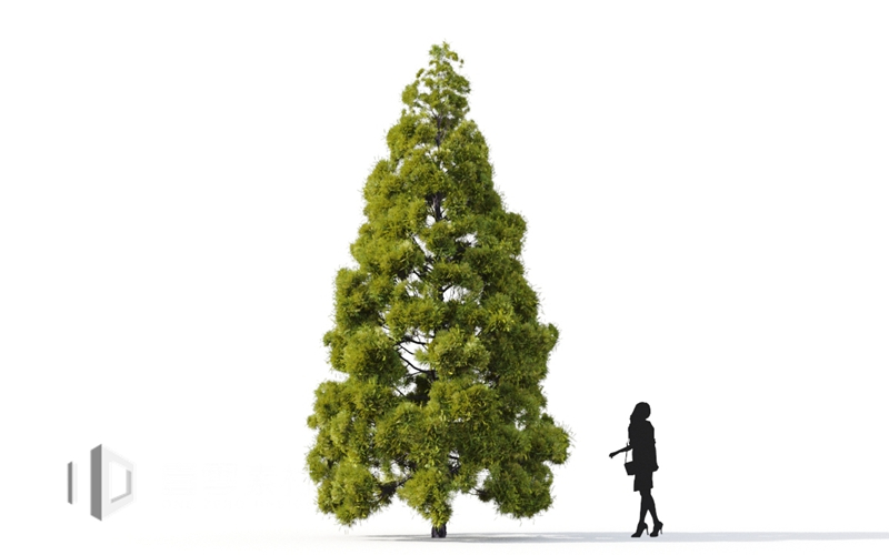 Maxtree - Plant Models Vol.9