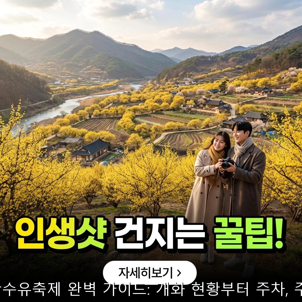 2026 이천 산수유축제 완벽 가이드: 개화 현황부터 주차, 주요 행사까지