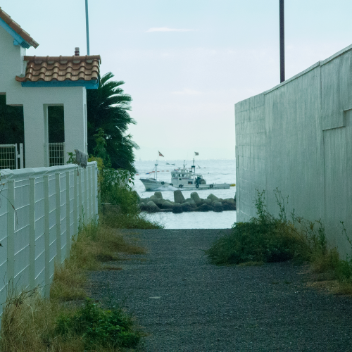 keneizoのアイコン