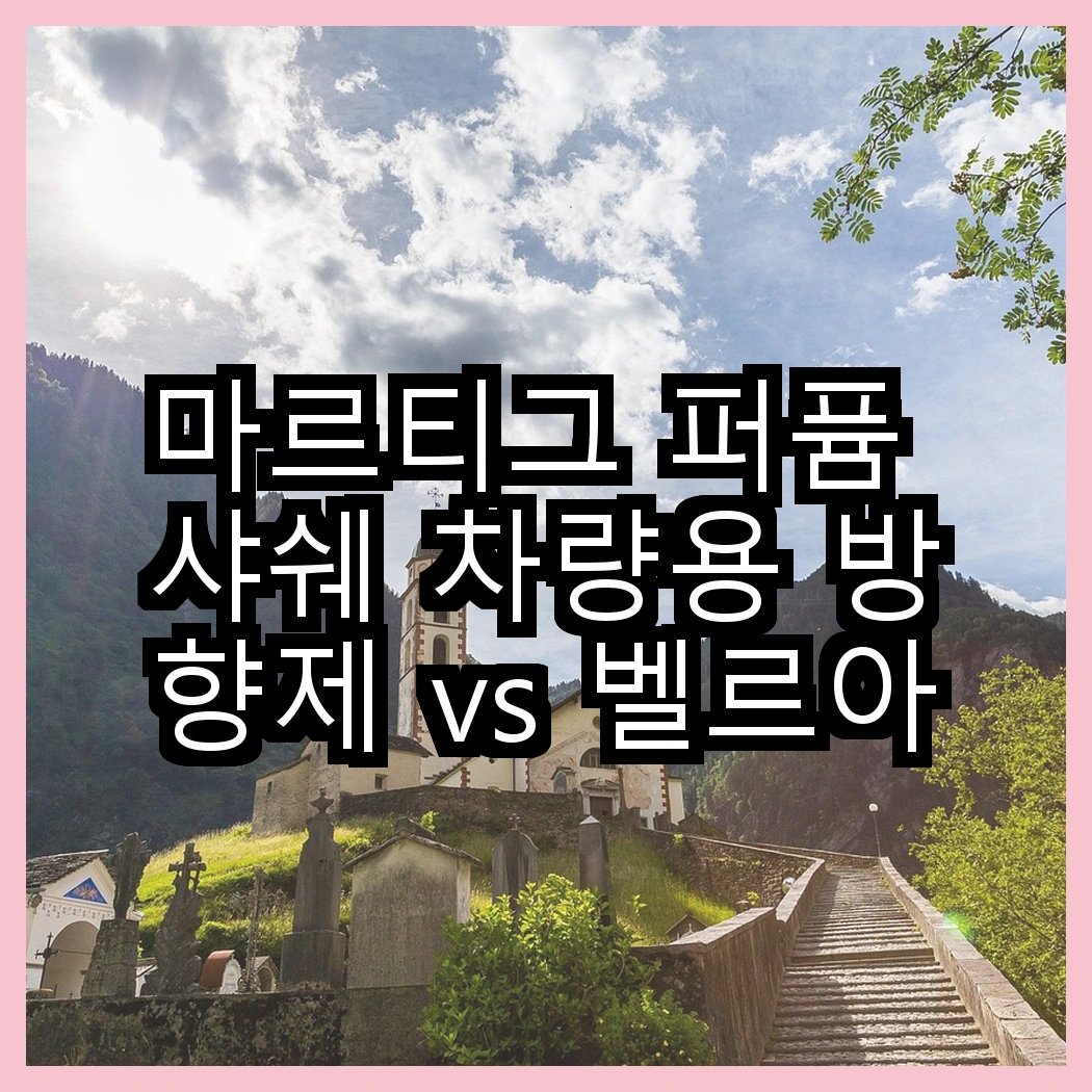 마르티그 퍼퓸 샤쉐 차량용 방향제 vs 벨르아망 에어도넛 리필, 어떤 향기가 더 매력적일까? 썸네일