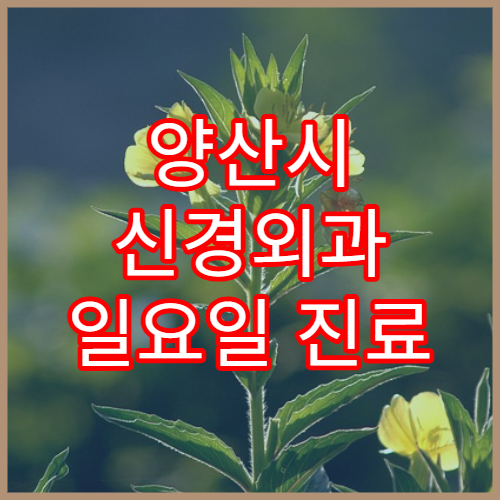 양산시 신경외과 일요일 진료 병원 허리 목 통증 주말 진료 병원