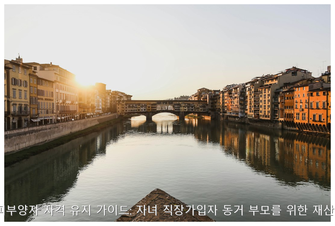 2026년 건보료 피부양자 자격 유지 전략 핵심 안내 및 분석 인포그래픽 (5)