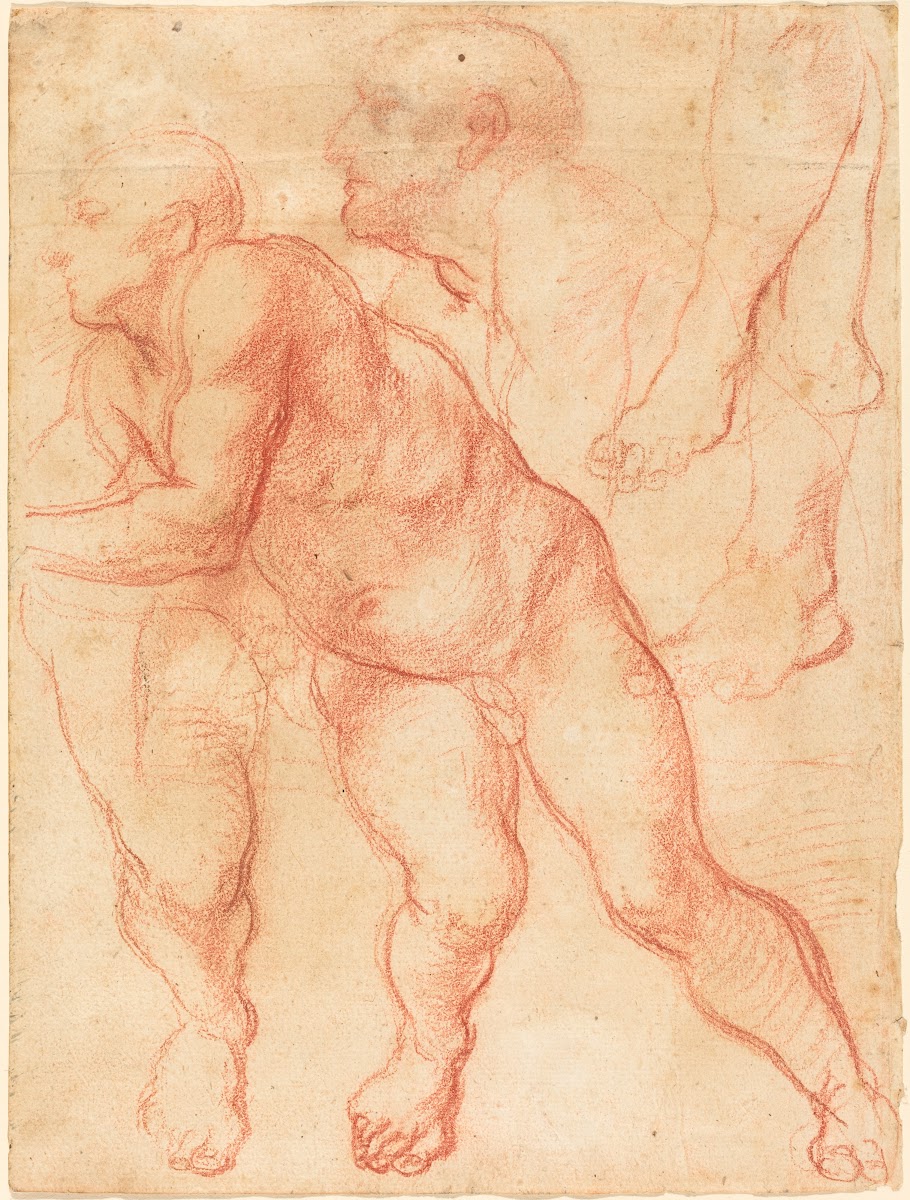 Studies of a Male Nude c 1550